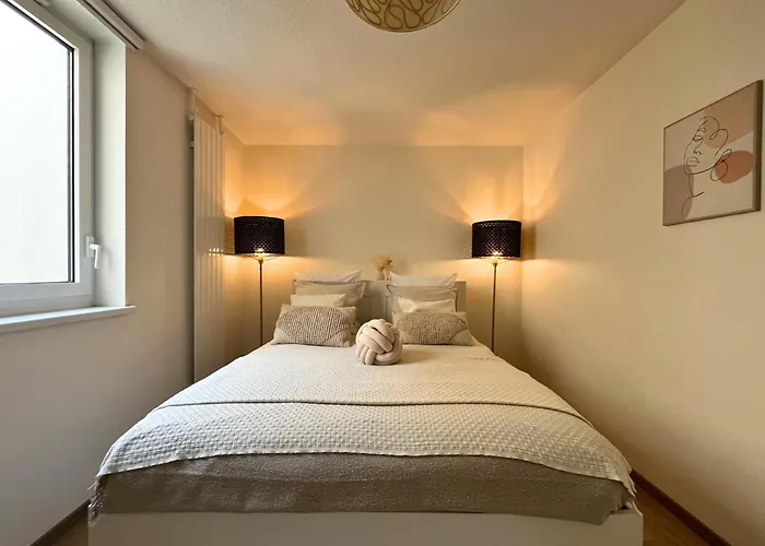 Vue Canal Apartment Strasbourg